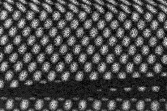 Black and white image of shadows on the ground.