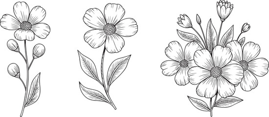 Black-and-white botanical flower illustrations with leaves, buds, and natural detail