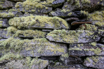 Natural stacked stone block wall covered in furry green lichen, as a rustic nature background

