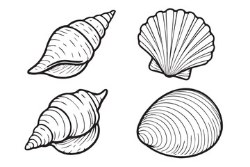 Elegant monochrome vector art featuring four different seashell shapes: a spiraled nautilus, a fan scallop, a smooth clam, and a textured oyster shell, ideal for coastal branding.