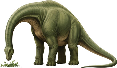 kind of dinosaurs © Inoe