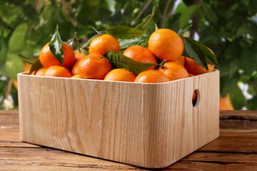 Fresh juicy tangerines in crate on wooden table near tree outdoors
