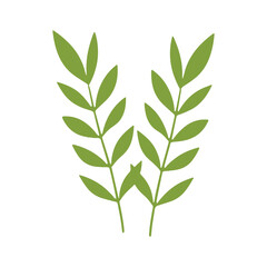 Simple Flat Green Olive Branch Decoration Element Graphic Design