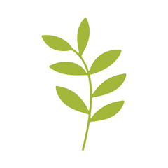 Simple Flat Leaf Branch Illustration Green Color Decorative Element Graphic