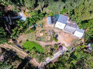 Aerial view forest trees in Phuket Thailand nature background