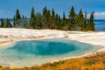 Blue thermal water of Surging Spring sits near Yellowstone Lake in Wyoming, USA. Geothermal pool features white sinter rim and pine trees in UNESCO World Heritage National Park