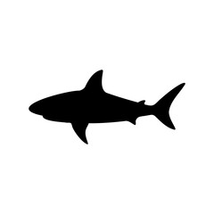 Fototapeta premium Striking black silhouette of a shark on a clean white background