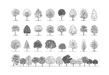 Minimal style cad tree line drawing, Side view, set of graphics trees elements outline symbol for architecture and landscape design drawing. Vector illustration. outdoor forest garden section