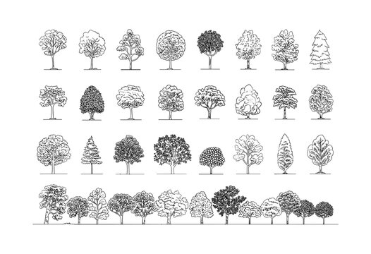 Minimal style cad tree line drawing, Side view, set of graphics trees elements outline symbol for architecture and landscape design drawing. Vector illustration. outdoor forest garden section
