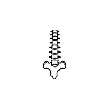 Lower spine vertebrae lumbar sacrum coccyx anatomy icon outline style