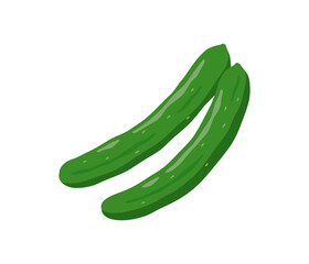 きゅうり,フラットイラスト