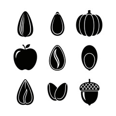 Stunning collection of nine essential food seeds and fruit icons perfect for clean, modern nutrition design projects