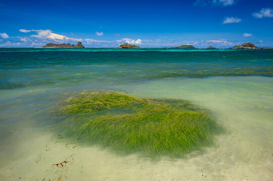 Tropical seascape of turquoise waters with sea grass beds at Hermitage on Carriacou in the West Indies