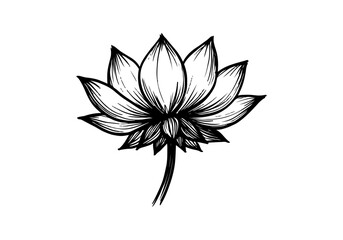 Lotus Flower hand drawn simple sketch vector illustration