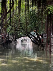 Shangxiahang Canal with Banyan Trees, Fuzhou, China