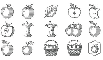 Apple - vector icon. apple icon illustration, Apple vector silhouette set design, apple icon set illustration Two apple silhouette vector illustration