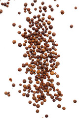 A heap of dark-brown, aromatic allspice berries on a white background.
