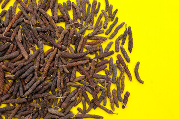 Long pepper (Piper longum), a spice used in traditional medicine and cooking, known for its pungent flavor.
