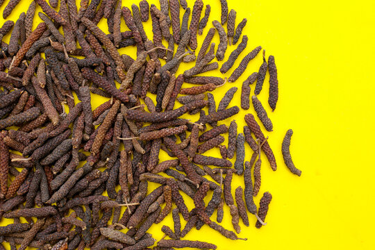 Long pepper (Piper longum), a spice used in traditional medicine and cooking, known for its pungent flavor.