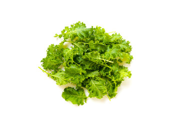 Fresh curly green kale leaves on white background.
