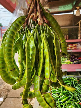 Fresh stink beans bundle for Asian food market. Green petai pods for traditional cooking supply. Raw tropical legumes for street food business. Hanging petai harvest for culinary ingredient trade