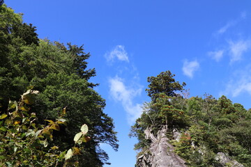 鳥取県　大神山神社　奥鳥取県　大神山神社　奥宮へ続く途中の金門宮へ続く途中の金門