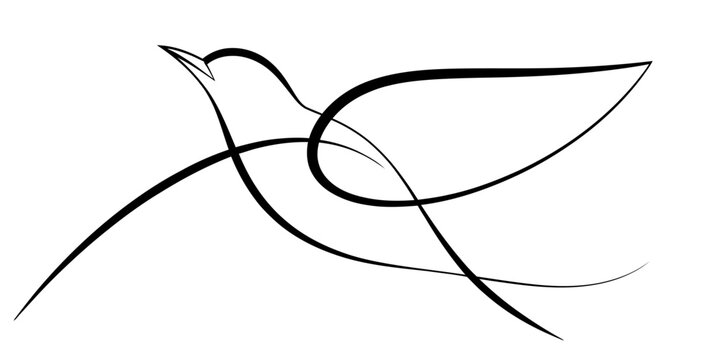 Abstract continuous line drawing of a flying dove or bird, minimalist black ink sketch isolated on, symbol of peace and freedom continuous one line art of vector illustration