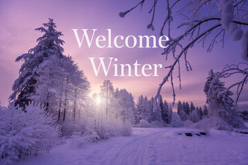 Snowy landscape with a path leading through snow covered trees under a pastel sky welcomes the winter season with a serene and magical atmosphere.