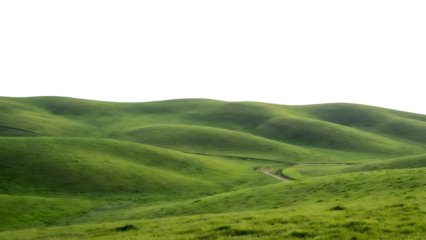 Lush Green Rolling Hills Under a Bright Sky.