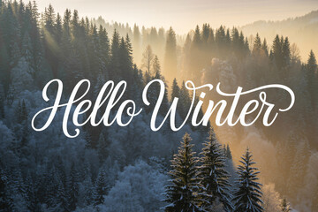 Hello winter greeting over a serene forest landscape with snow covered trees and soft sunlight creating a peaceful seasonal atmosphere.