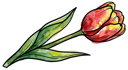 Obraz premium Winter Flower