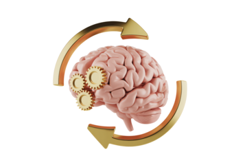 Human Brain with Cogwheels in Circular Motion in Warm Golden Lighting on White Background for Medical Illustration