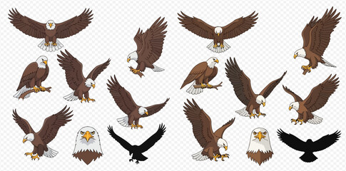 Collection of Bird of Prey Poses on Transparent Background 2dflat