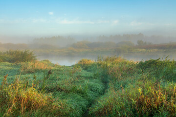 Fototapeta premium The valley of the Sorot River near the Mikhailovskoye Estate of the Pushkin Museum-Reserve at dawn on a foggy summer morning, Pushkinskiye Gory, Pskov Oblast, Russia