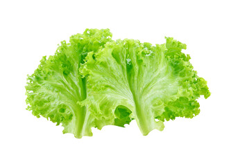 green lettuce leaves transparent png