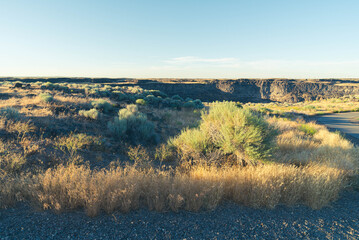 Flat plains dotted with sagebrush and scrub plants extending out to the horizon under a clear blue sky, split in the middle distance by the massive Snake River Canyon just barely visible.