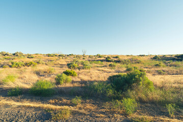 High flat desert plains, dotted by sage brush and other scrub plants, extending into the distance under a clear blue sky, with long shadows from late afternoon. 