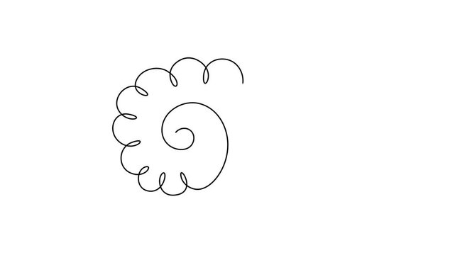 Continuous Line Art Animation of Snail Shell Spiral 