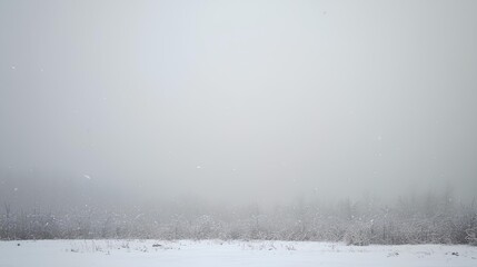 Serene Winter Landscape Snowfall Softening the Forest Edge in Muted Tones