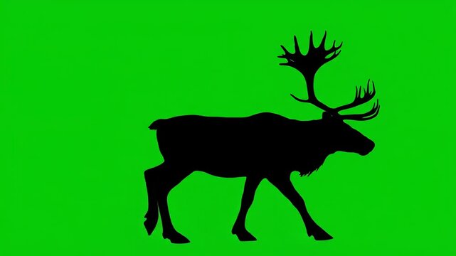 Majestic Moose Silhouette Against Vibrant Green Backdrop - A Wildlife Study.