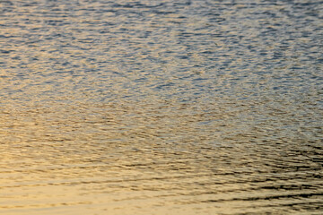 Close up of the golden ripples on the surface of water at sunset