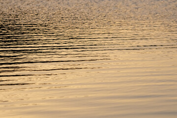 Close up of the golden ripples on the surface of water at sunset