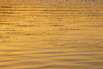 Close up of the golden ripples on the surface of water at sunset