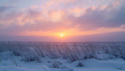 Winter sunrise over a snowy field with frosted dry grass under a pastel pink and orange sky