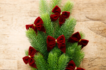 Red ribbons with pine branches, Christmas tree concept.