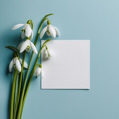 Snowdrop bouquet with blank paper card on a soft blue backdrop, simple