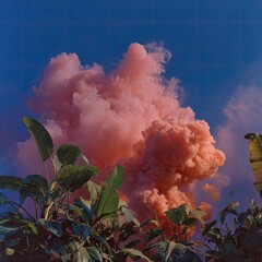 Pink smoke billows amidst lush green foliage against a deep blue sky