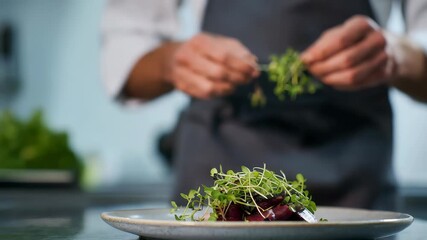 A chef carefully arranges fresh microgreens on a gourmet dish, showcasing culinary artistry and attention to detail. Modern fine dining emphasizes presentation and creativity