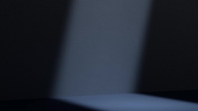 Soft Light Fade-In with Slow Camera Zoom Over Dark Textured Background