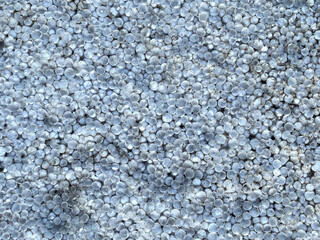 texture of foam background